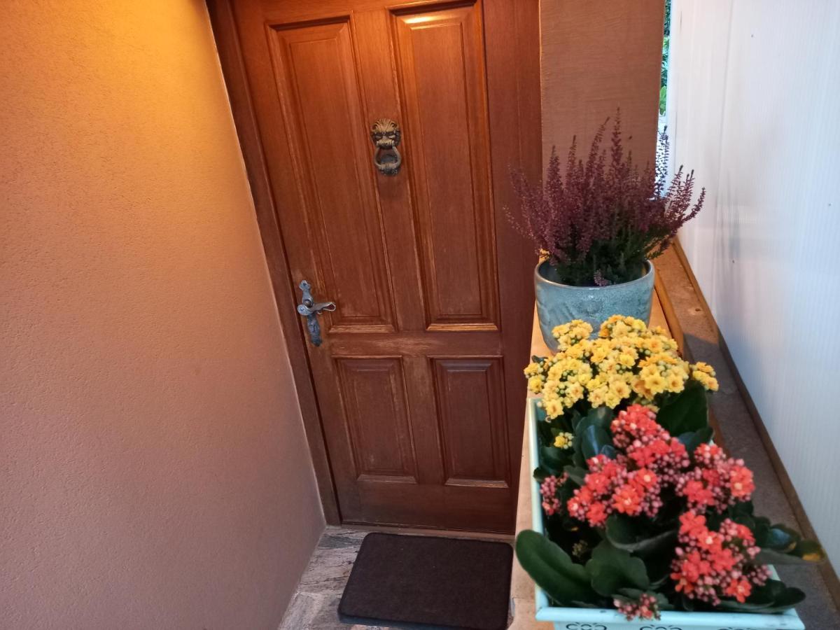 Apartmán Blue Deer Umag Exteriér fotografie